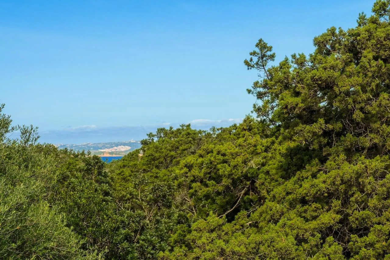 Private Villa Orione Porto Cervo 0*,
